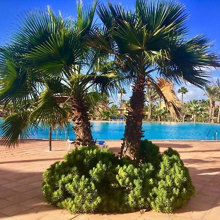 Fuerteventura Apartments Коральео Экстерьер фото