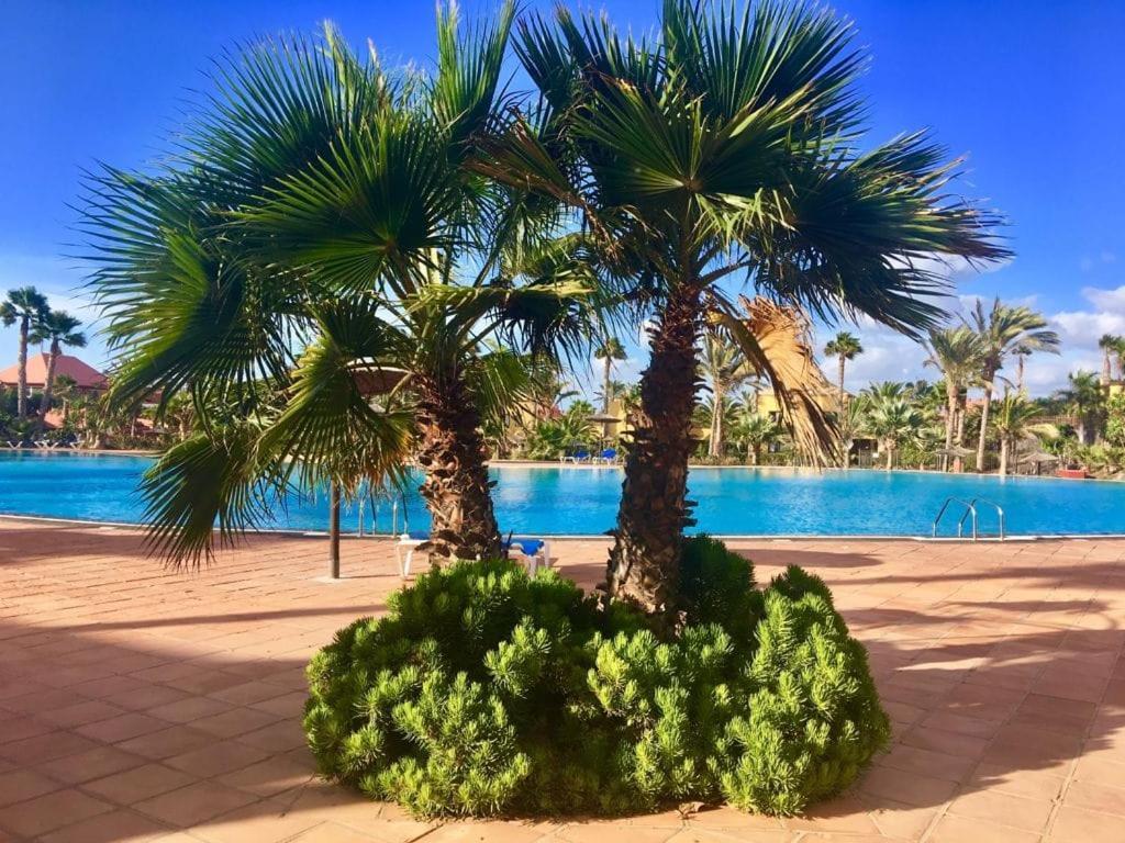 Fuerteventura Apartments Коральео Экстерьер фото