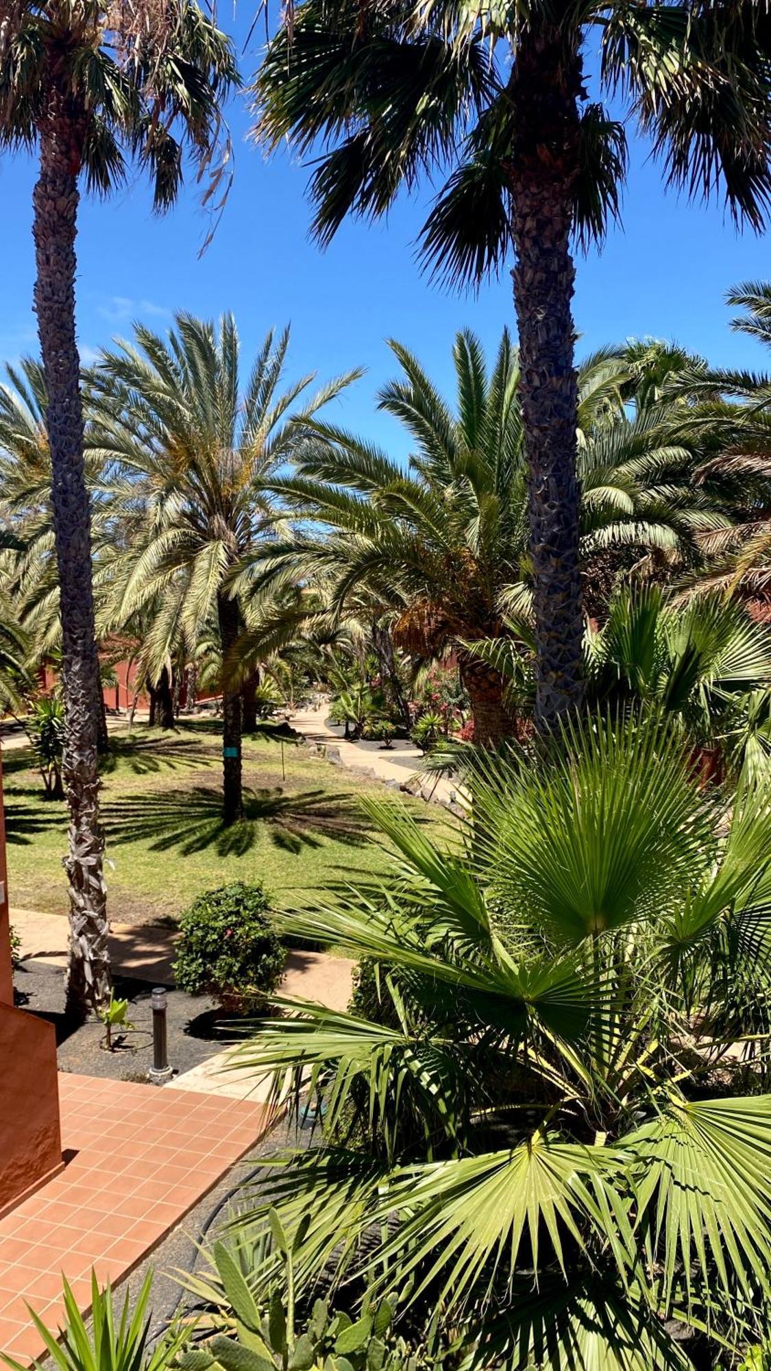 Fuerteventura Apartments Коральео Экстерьер фото