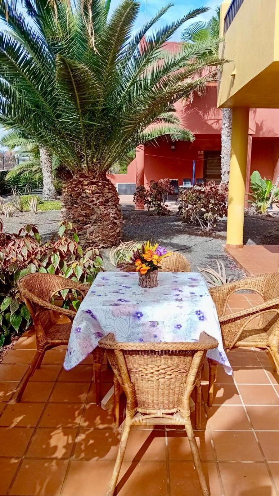 Fuerteventura Apartments Коральео Экстерьер фото